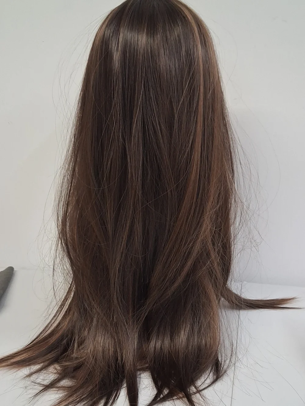 NWT  Long Layered Wig with Bangs - Chestnut Brown